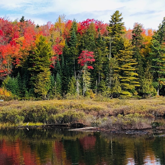 Meet your Posher, Angela - Picture 1 of 1